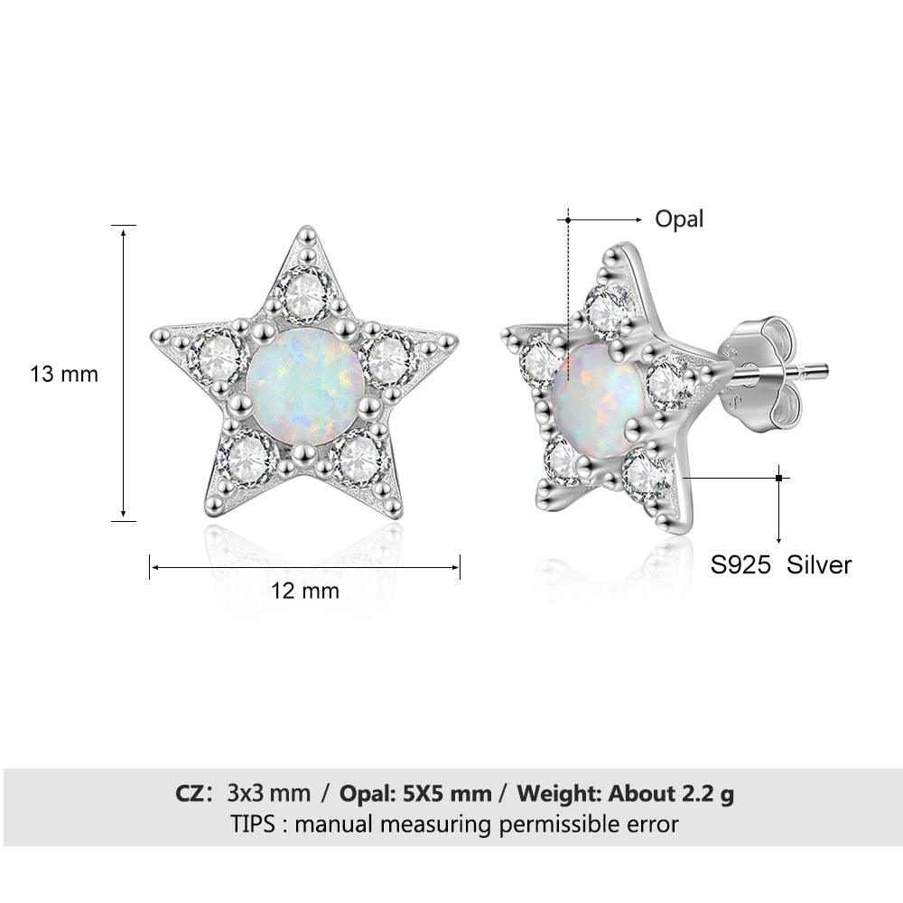 925 Sterling Silver Earrings for Women Cubic Zirconia Stud Earrings for Women